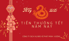 Thuong-Tet-Nam-Nay-3lpcc5e7fl1jg9qxqv9pfk.jpg